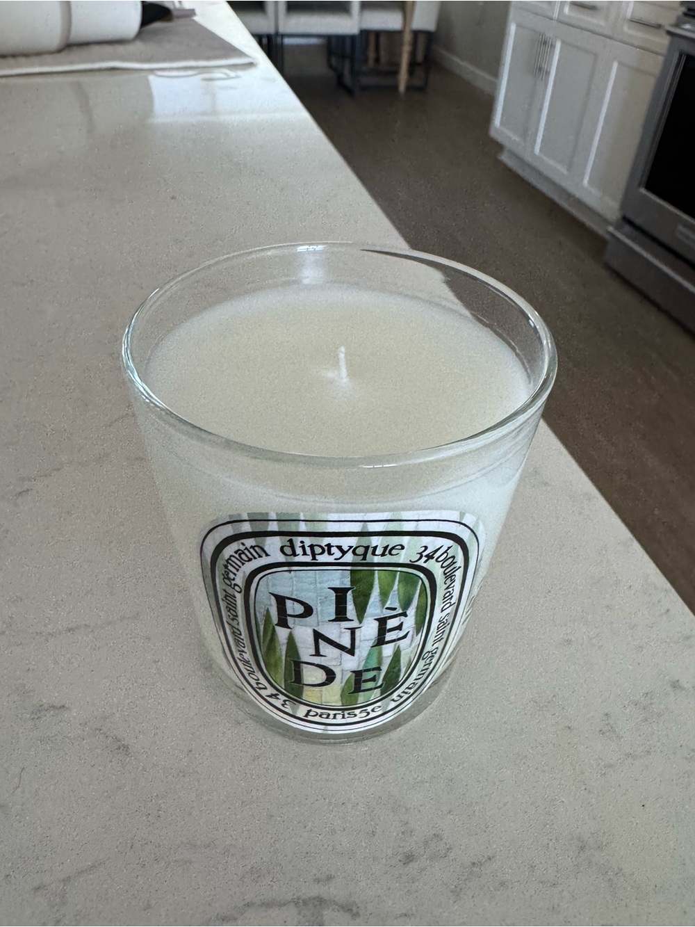 NWT Diptyque Pinède (Pine Grove) Classic 6.7 oz Candle — White with Green Label - Picture 2 of 3